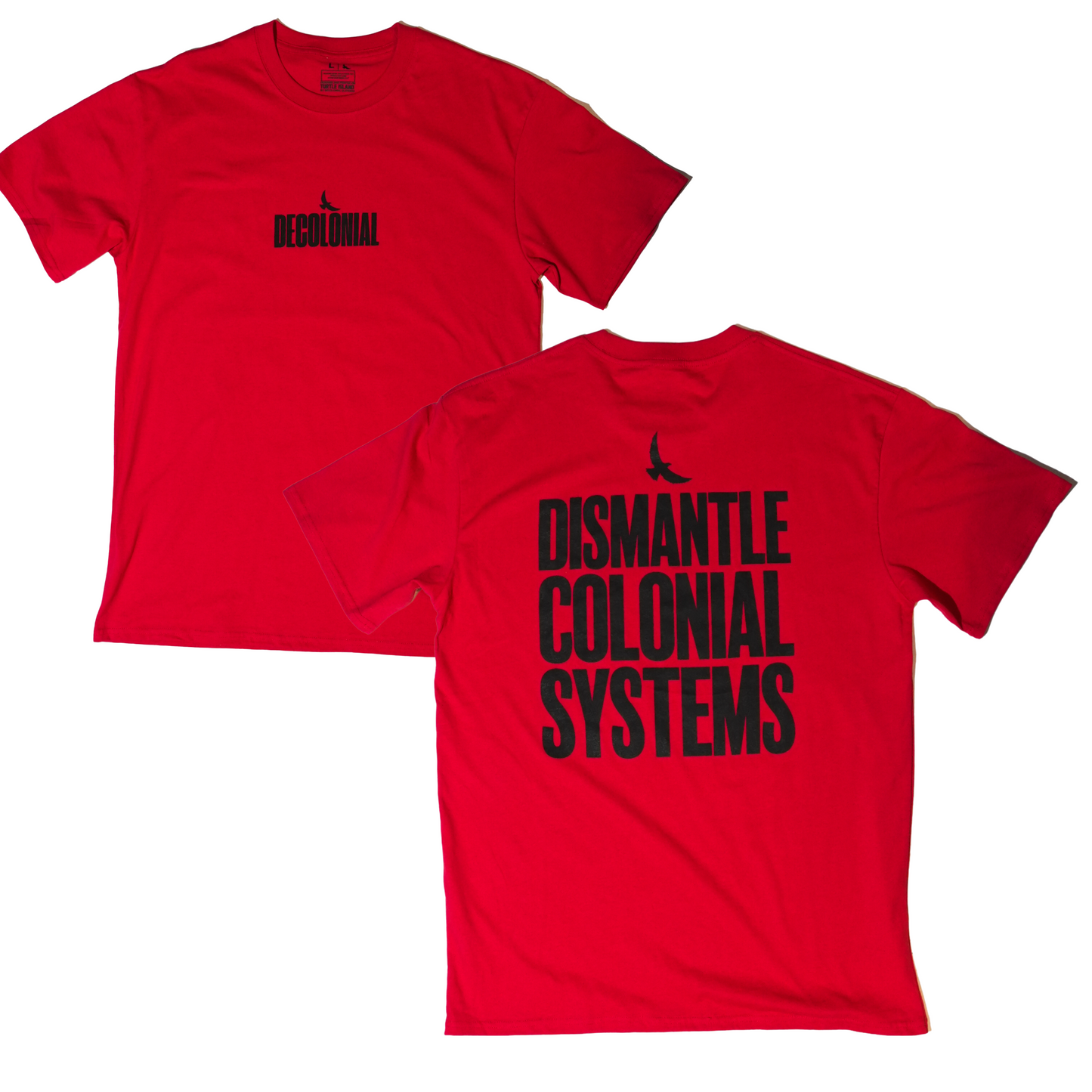 Dismantle Colonial Systems Tee